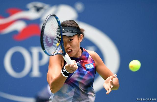 可以预见 可以预见